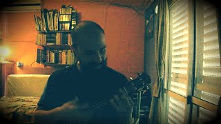 NO! "Como duele ser un pelotudo" Ukelele cover