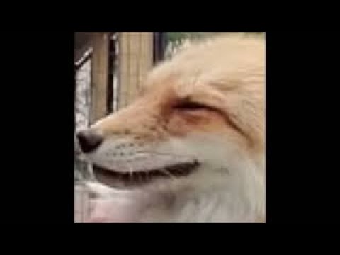 ázu/Mr. Deathline - Wer? (Reupload)