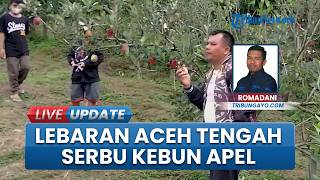 Warga Serbu Kebun Apel Despot Linge di Aceh Tengah, Sensasi Petik Buah Langsung dari Pohon