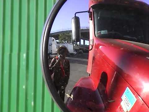 El Cousteau - Alrite Alrite (Official Video)