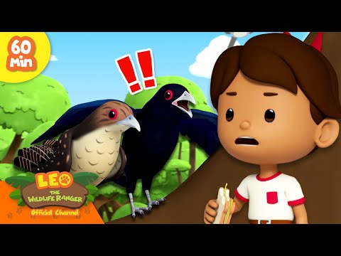 Witness21 Editor  2024 06 01