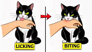 Why Does Your Cat Lick You, Then Bite You?