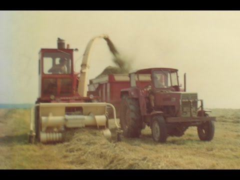 Loonw. Gotiaux - Chimay - gras hakselen - Hesston 4000