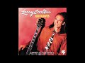 Larry Carlton   Terry T
