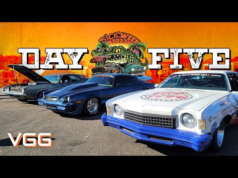 Will They All Survive!? - Sick Week Day 5