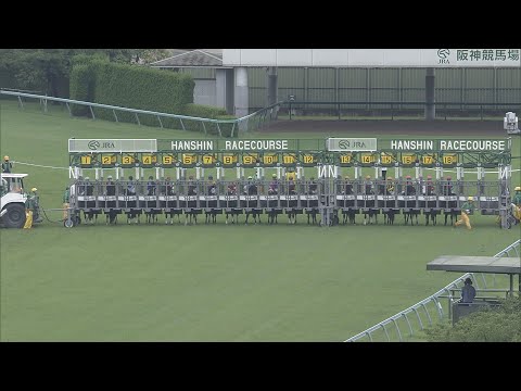 2020 Takarazuka Kinen (G1)