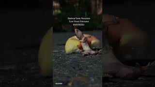 Download lagu STORY WA 30 DETIK TERBARU!!! || STORY WA TERBARU || HESEWELEH STORY#storywa #shorts mp3