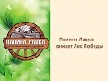 Папина Лавка сажает Лес Победы 