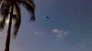 preview picture of video 'Paragliding Dominican Republic - Jarabacoa'