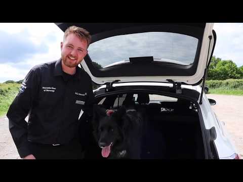 2019 Mercedes-Benz E-Class Estate test drive and review