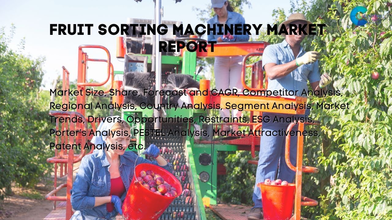 Fruit Sorting Machinery  Market Insights