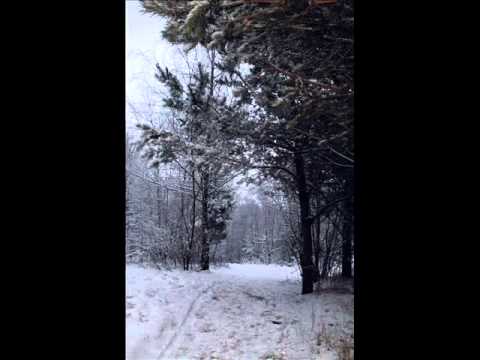 Izabela Krasucka - Zima uczuć