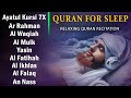 Best Every Night Quran Recitation By Sheikh Alaa Aqel