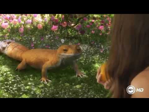 Gênesis Adão e Eva Comem o Fruto Proibido (Completo HD)