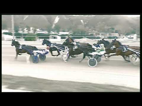 Trotto 01/03/2020 - 3ª corsa