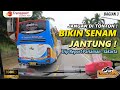 DRIVER PRO DIKASIH MESIN KENCANG BEGINI JADINYA I TRIP PO TRANSPORT PARIAMAN JAKARTA 3 10