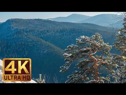Winter in the Carpathians - 4K Relaxation Video & Soothing Music | Carpathian Mountains in Ukraine
