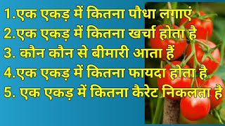 Tomato Farming II Tamatar ki kheti II टमाटर की खेती Full Details