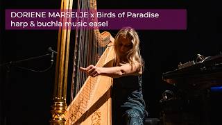 Doriene Marselje x Buchla Music Easel