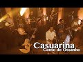 Casuarina | CANTO DE OSSANHA (Clipe Oficial)