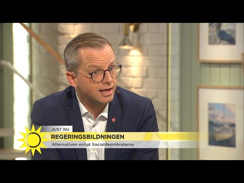 Mikael Damberg (S) öppnar för att talmannen skulle kunna bli en från Alliansen - Nyhetsmorgon (TV4)