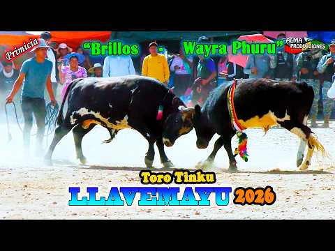 Toro Tinku de LLAVEMAYU 2026-73 Aniversario, "Brillos-Wayra Phuru". Video Oficial de ALPRO BO.