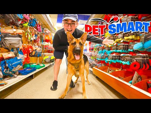 Buying My Dog ANYTHING He Sniffs At PetSmart!