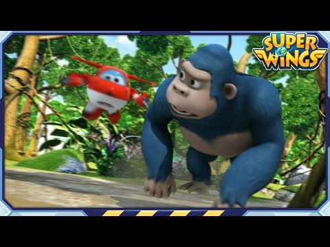 Witness21 Editor  2023 07 02