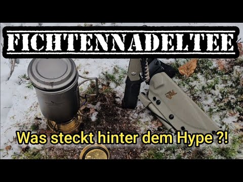 Fichtennadel Tee, was steckt hinter dem Hype ?! #survival #bushcraft #botanik #outdoors  #bushcraft 