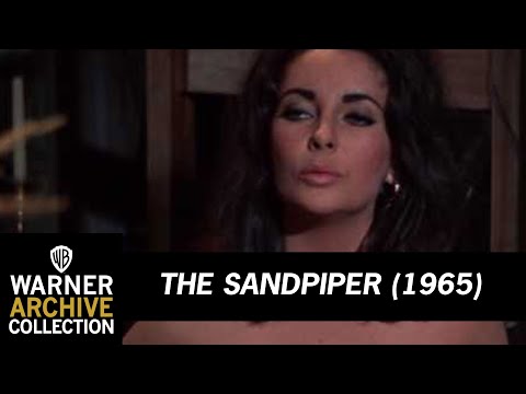 Sculpting Liz | The Sandpiper | Warner Archive