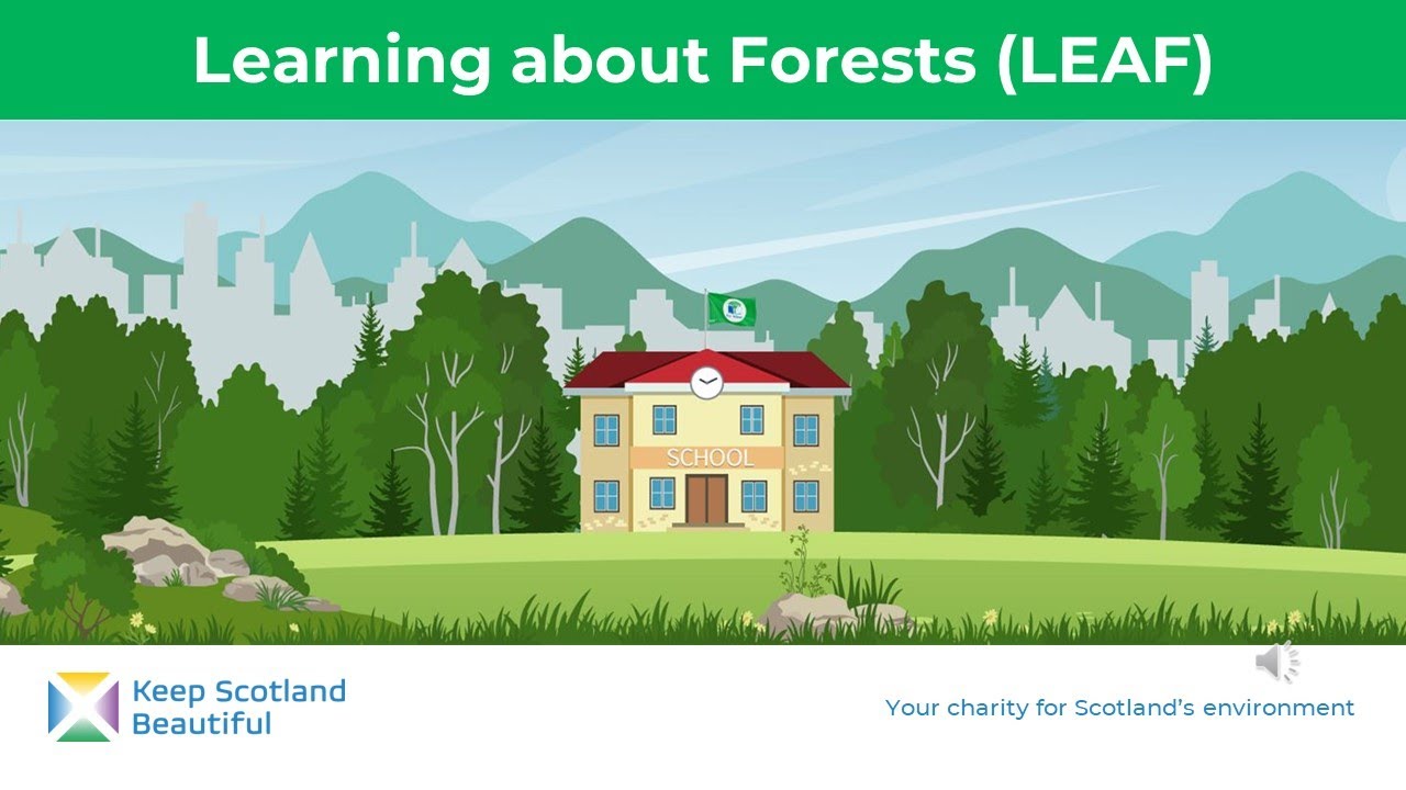 Introduction to Learning about Forests (LEAF)