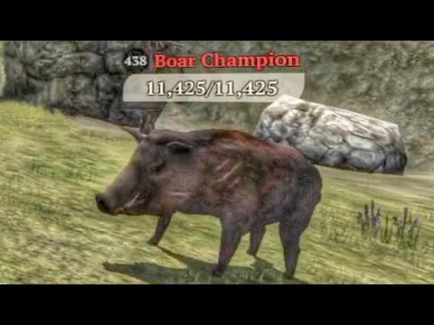 The Wolf - Boar Champion In Featured Green Hills 🏆