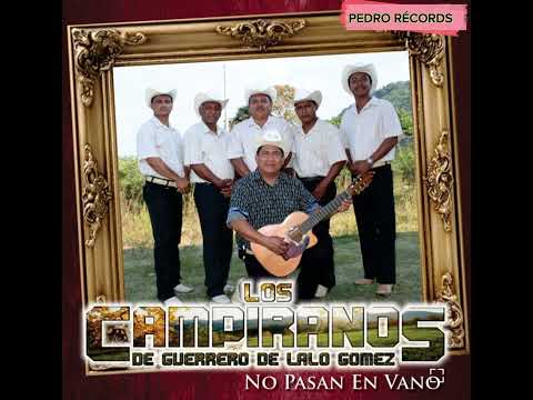 Los Campiranos de Lalo Gómez : La siringa En vivo Desde Tlapa de Comonfort