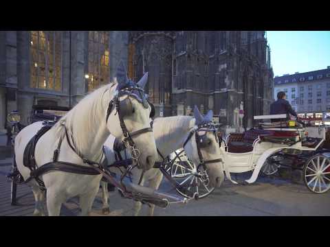 Austria, Vienna, Stephansplatz, walking around