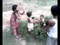 Laxmipara