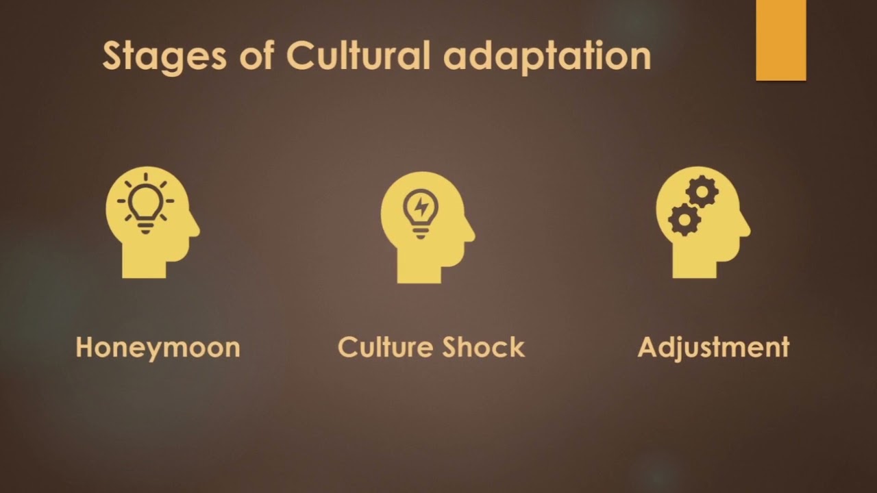 What are cultural adaptations examples? Wiki REF