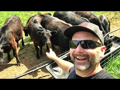 A day in the life of a YouTube Farmer