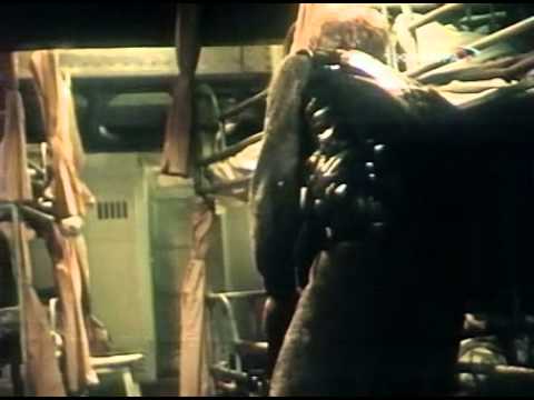 Богатырь идет в Марто