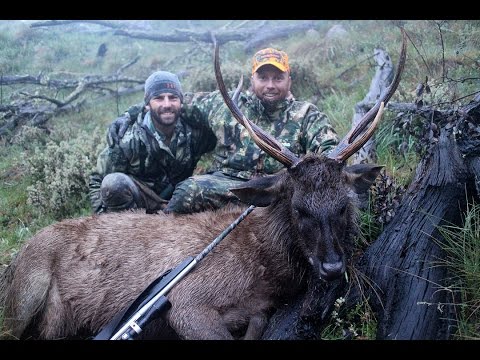 Sambar Hunt - Backpack Hunting for Sambar Deer Australia