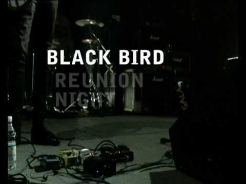 BLACK BIRD Reunion Night with Smart Cops - Laser Geyser and DJ's @ Il Covo Bologna 30/01/2010