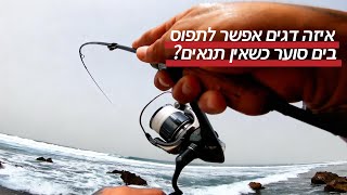 איזה דגים אפשר לתפוס בים סוער כשאין תנאים?