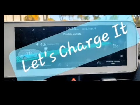 Ioniq 5 Hyundai Emblem Replacement