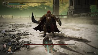 ELDEN RING　DLCラスボス　パリィ撃破