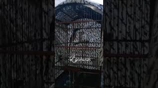 Download lagu CENDET SITUBONDO materi tengkek mp3