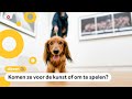 Deze honden gaan naar een museum