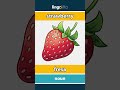 strawberry - fresa video thumbnail