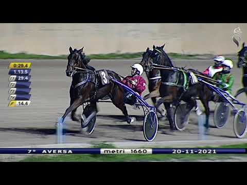 Aversa trotto 20 Novembre 2021 - 7° Corsa