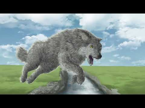 Physik mal anders - Bewegungslehre (Frage)