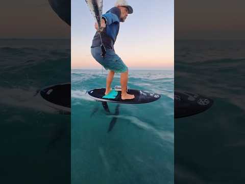 Sunset foiling session in 23-30mph offshore Kona winds 💨🌊  #foildrive #foiling #maui