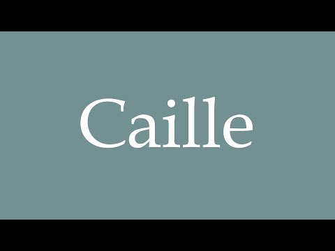 How to Pronounce ''Caille'' Correctly in French